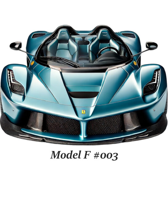 MODEL F #003