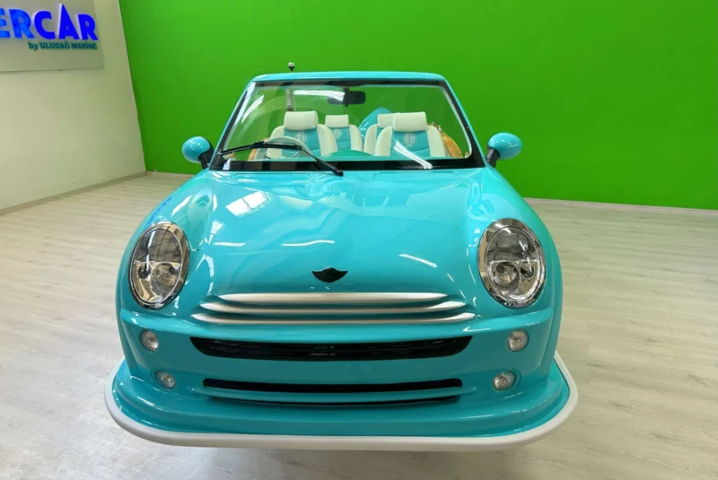 Model MINI